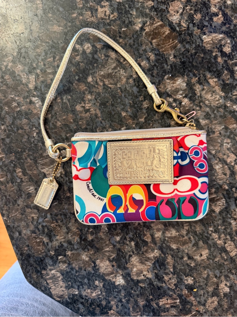 Coach Poppy Multicolor Op Art Logo Canvas Wristlet Zip Pouch
Y2K Mini Bag Wallet